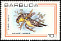 Barbuda Warbler Setophaga subita