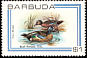 Blue-winged Teal Spatula discors  1980 Birds 