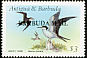 Sooty Tern Onychoprion fuscatus