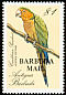 Brown-throated Parakeet Eupsittula pertinax