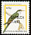 Yellow-billed Cuckoo Coccyzus americanus