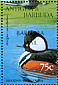 Hooded Merganser Lophodytes cucullatus  1997 Overprint BARBUDA MAIL on Antigua & B 1995.02 Sheet