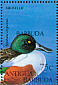 Northern Shoveler Spatula clypeata  1997 Overprint BARBUDA MAIL on Antigua & B 1995.02 Sheet