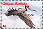 Brown Pelican Pelecanus occidentalis  1998 Overprint BARBUDA MAIL on Antigua & B 1996.03  MS MS