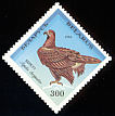 Golden Eagle Aquila chrysaetos  1994 Birds in the Red Book 