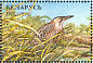 Eurasian Bittern Botaurus stellaris  1996 Ducks and wading birds Sheet