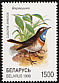 Bluethroat Luscinia svecica  1998 Songbirds in the Red Book 