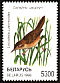 Savi's Warbler Locustella luscinioides