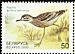 Eurasian Stone-curlew Burhinus oedicnemus