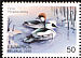 Smew Mergellus albellus  2000 Birds in the Red Book 