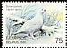 Willow Ptarmigan Lagopus lagopus