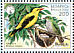 Eurasian Golden Oriole Oriolus oriolus