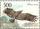 Greater Spotted Eagle Clanga clanga