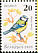 Eurasian Blue Tit Cyanistes caeruleus