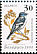 European Pied Flycatcher Ficedula hypoleuca