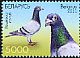 Rock Dove Columba livia  2011 Pigeons 3v set