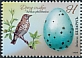 Song Thrush Turdus philomelos  2020 Eggs of birds 