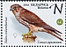 Merlin Falco columbarius