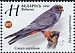 Red-footed Falcon Falco vespertinus