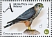 Merlin Falco columbarius