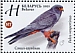 Red-footed Falcon Falco vespertinus  2021 Falcons Sheet