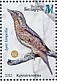 Eurasian Wryneck Jynx torquilla