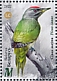 Grey-headed Woodpecker Picus canus  2022 Woodpeckers Sheet