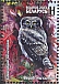 Eurasian Pygmy Owl Glaucidium passerinum  2023 Birds of Belarus - Strigiformes Sheet