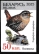 Eurasian Wren Troglodytes troglodytes