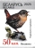 Eurasian Wren Troglodytes troglodytes