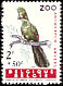 Guinea Turaco Tauraco persa  1962 Birds of Antwerp Zoo 