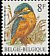 Common Kingfisher Alcedo atthis  1986 Birds 