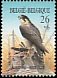 Peregrine Falcon Falco peregrinus