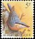 Eurasian Nuthatch Sitta europaea  1988 Birds 