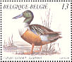 Northern Shoveler Spatula clypeata  1989 Ducks Booklet