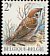 Eurasian Tree Sparrow Passer montanus  1989 Birds 