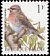 Common Redpoll Acanthis flammea  1992 Birds 