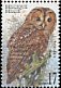 Tawny Owl Strix aluco  1999 Owls 
