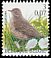 Meadow Pipit Anthus pratensis  2000 Birds 