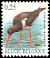 Eurasian Oystercatcher Haematopus ostralegus  2002 Birds 