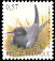 Black Tern Chlidonias niger  2002 Birds 