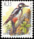 Great Spotted Woodpecker Dendrocopos major  2003 Birds 