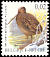Common Snipe Gallinago gallinago  2003 Birds 