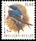 Common House Martin Delichon urbicum  2004 Birds 