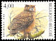 Eurasian Eagle-Owl Bubo bubo  2004 Birds 
