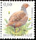 Grey Partridge Perdix perdix  2005 Birds 