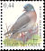 Common Wood Pigeon Columba palumbus  2005 Birds 