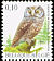 Boreal Owl Aegolius funereus  2007 Birds 