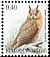 Long-eared Owl Asio otus  2007 Birds 