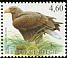 White-tailed Eagle Haliaeetus albicilla  2009 Birds 